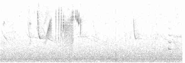 Kısa Kuyruklu Tiran - ML130263381