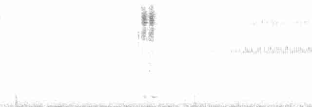 carinate katydid - ML130279