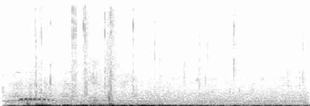 Russet-crowned Motmot - ML130345091
