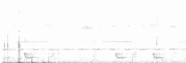 Large-tailed Nightjar - ML130405931