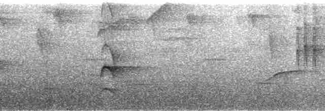 Kara Gagalı Dalavcısı - ML130421