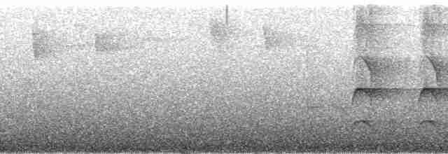 Kara Gagalı Dalavcısı - ML130423