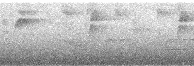 Streifenfaulvogel - ML130426