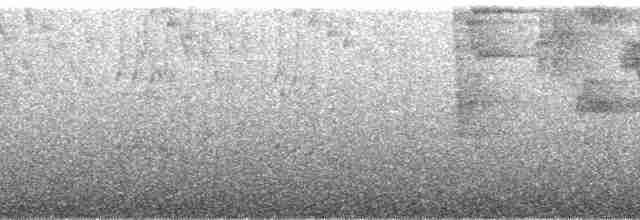 Светлоглазый дрозд - ML130432