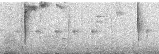 Tangara capucin (rubrirostris) - ML130458