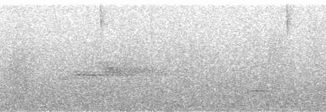 Gri Göğüslü Dağ Tukaneti - ML130463