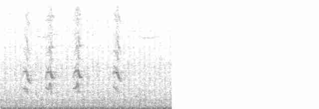 Riesendrossel - ML130492641