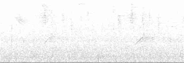 Çizgili Başlı Karıncaavcısı - ML130501961