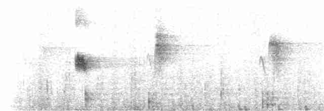 Каньонный крапивник - ML130517891