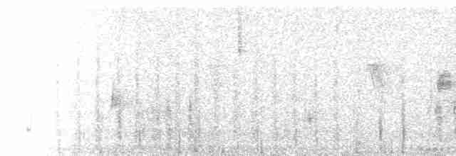 Kanyon Çıtkuşu - ML130523231