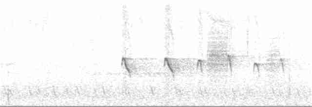 Strichelkopf-Ameisenfänger - ML130541591