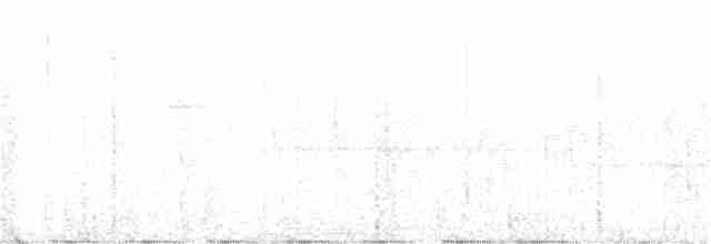 Ширококрылый канюк - ML130542271