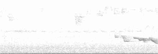 Black-billed Peppershrike - ML130550491