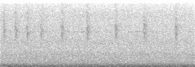 Пёстрый колибри - ML130566731