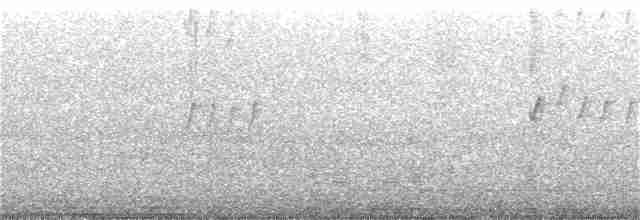 Мухолов-клинодзьоб сірий - ML130567031