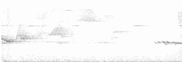 Дрізд андійський - ML130569631