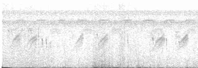 Hirondelle à ceinture blanche - ML130648921