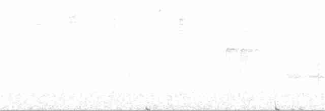 Strichelkopf-Ameisenfänger - ML130680291
