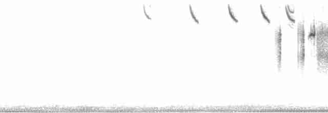 Savannah Serçesi - ML130704