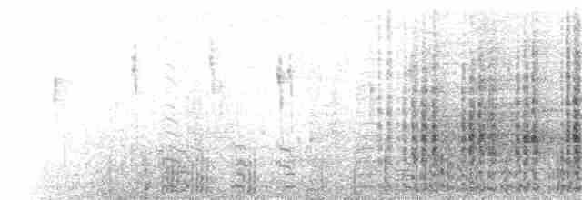 Crested Caracara (Northern) - ML130720171
