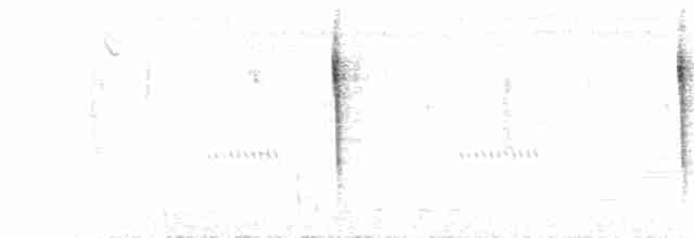 Paruline à couronne rousse (palmarum) - ML130733031