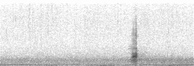 綠頭鴨(馴化) - ML130749601