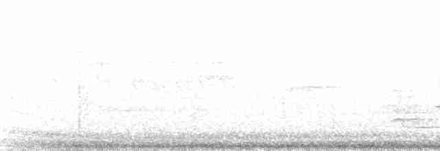 krahujec americký [skupina velox] - ML130750