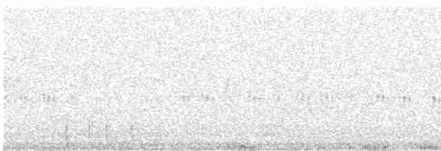 Striated Fieldwren - ML130813951