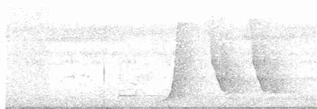 Psophode à tête noire - ML130822711