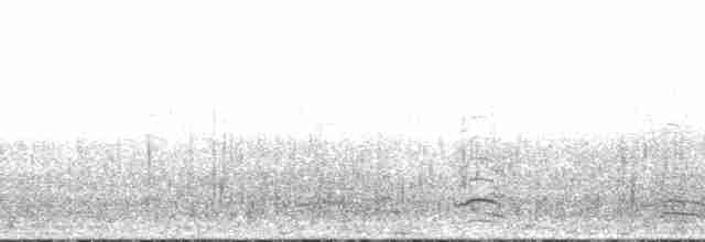 berneška malá (ssp. taverneri) - ML130870