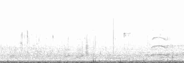 husa běločelá - ML130892