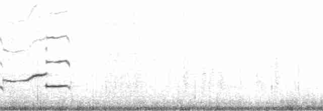 kulík bledý - ML130895