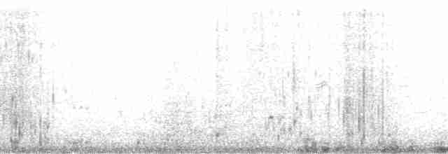 langnebbekkasinsnipe - ML130899