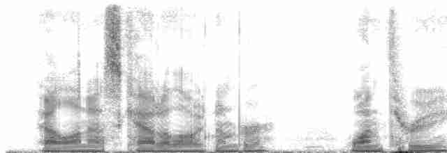 Corbeau à nuque blanche - ML13091