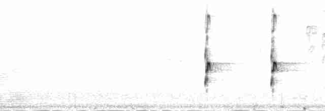 Einsiedelwasserläufer - ML130930