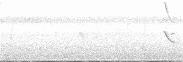 White-rimmed Brushfinch - ML130936241