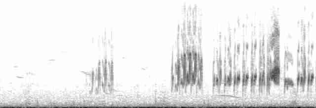 langnebbekkasinsnipe - ML130954