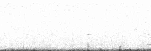 Küt Kuyruklu Korsanmartı - ML130971