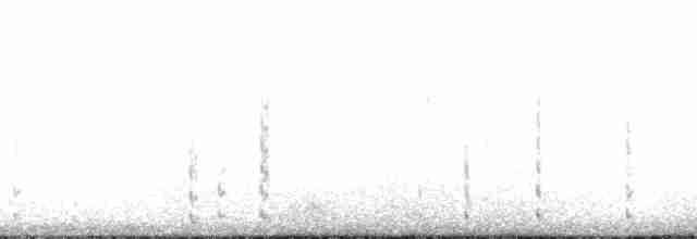 Küçük Kuğu (columbianus) - ML130977