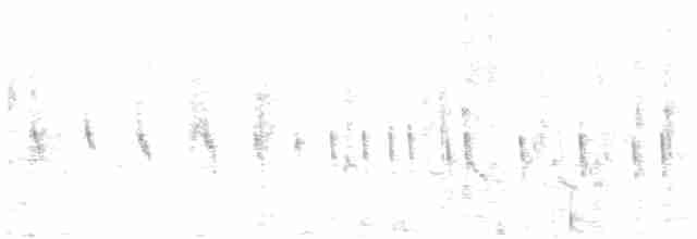 褐頭鷦鶯 - ML130995471