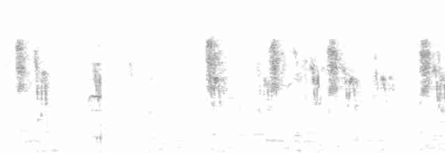褐頭鷦鶯 - ML130995481