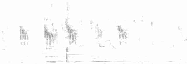 白喉文鳥 - ML130995491