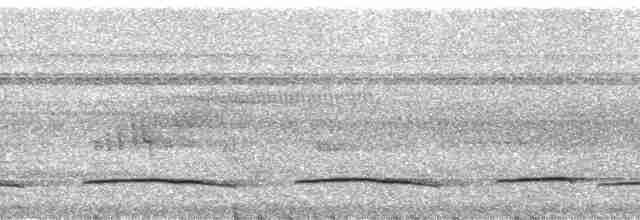 Горная кукушка (montanus) - ML1310