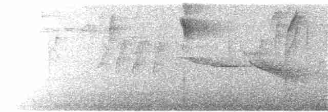 Зернолуск масковий - ML131020721