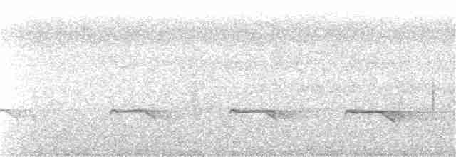Кустарниковая кукушка [группа variolosus] - ML131054601