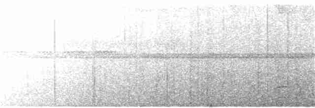 Lacivert Kuyruklu Trogon - ML131057971