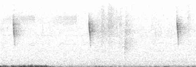 Blackpoll Warbler - ML131072291