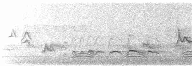 Graumantel-Brillenvogel - ML131112521