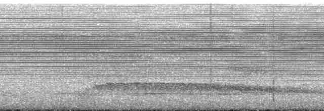 amazonvatretreløper (certhia) - ML131151
