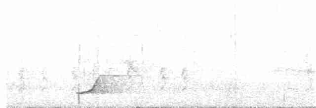 Pale-browed Tinamou - ML131169981